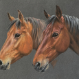 Comm Neef deux chevaux pastels 2024