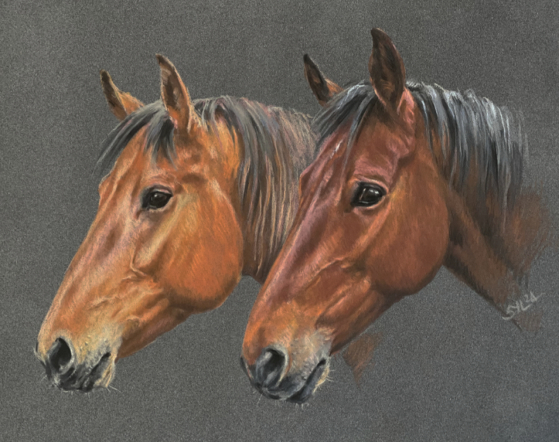 Comm Neef deux chevaux pastels 2024